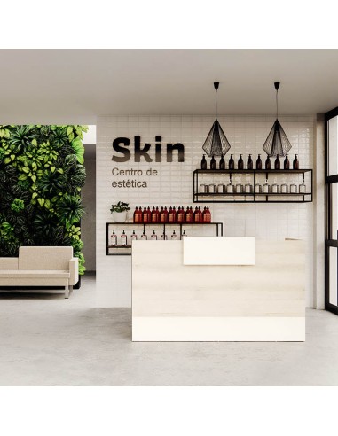 Mostrador Recepción París 160 pequeños negocios