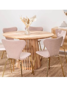 Mesa Ganesha de 120 2