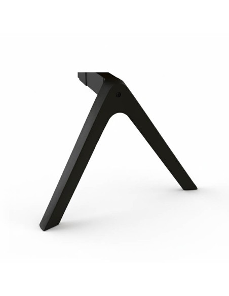 Pata  V invertida negra