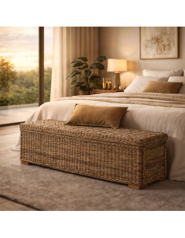 Baul Teogonda ideal salón habitación