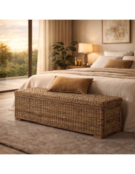 Baul Teogonda ideal salón habitación