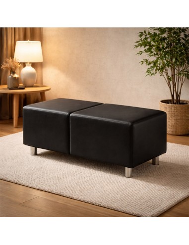 Banco Guanaco moderno y elegante