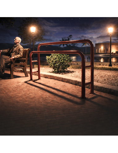 Barras de Apoyo Isquiático Dobles Pintada para parques