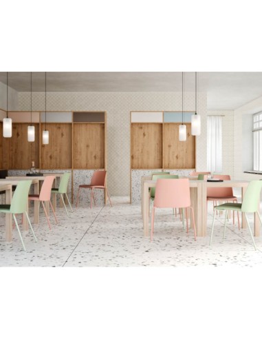 Silla Tarak polipropileno 2